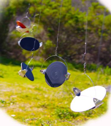 multiple solargyros solargyroscopes.jpg